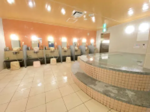 ホテル日立プラザ 日立市のホテル