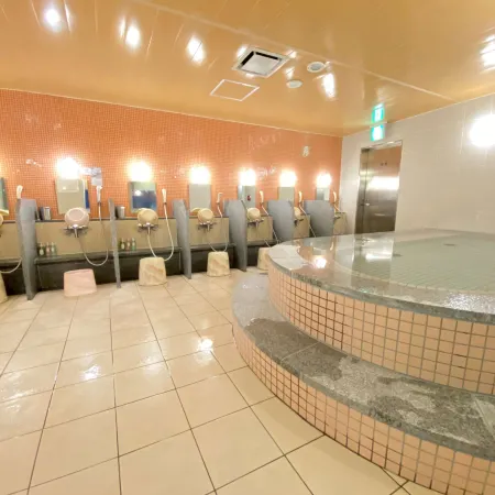 Spa & Sauna Hotel Hitachi Plaza Отели в г. Хитати