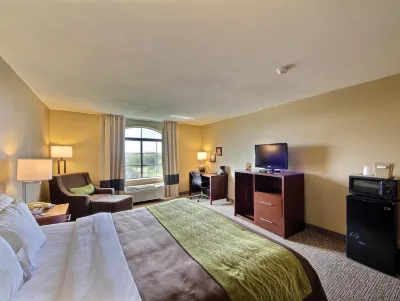 Comfort Inn Edinburg South