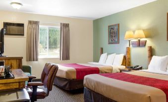 Econo Lodge, Downtown Custer Near Custer State Park and Mt Rushmore