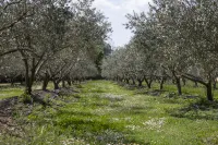 Stunning Mas l Aigo Clairo, a Little Paradise in Provence