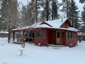 A Sweet Pine Cabin