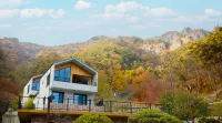 담양 리사 숲속마을