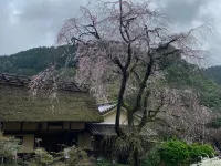 Former Imperial Residence  Hotel Kanau Hotels in Gojo