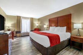 Comfort Inn Near Six Flags St Louis