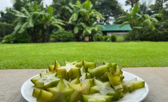 The Riverstone Agro Farm