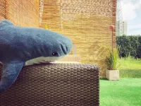 Apartment Berlin | Garden, Terrace, Nature