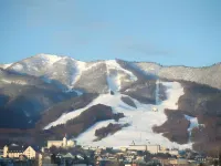 Minshuku Akiba