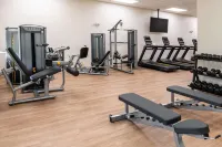Drury Plaza Hotel Dallas Arlington - Gym
