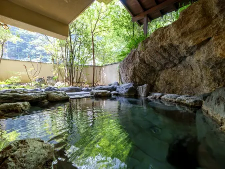 Tsuetate Keiryu No Yado Daishizen Отели в г. посёлок Огуни