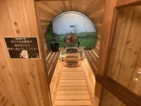 The Toya Hotels in Toyako