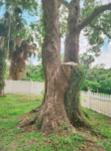 Charming 4-bedroom Cottage- BEST LOCATION & BACKYARD