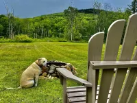 Modern Farm House…minutes to Okemo; 2 King beds! Hotels in Mount Holly