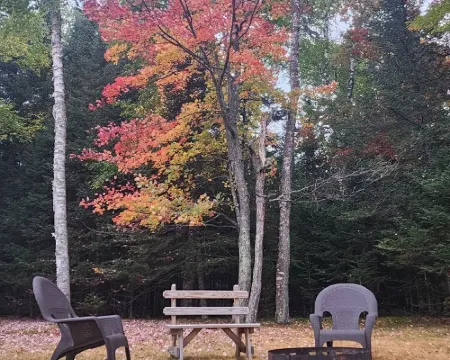 Lakefront Cabin on Snowmobile/UTV Trails Hotels in St. Germain