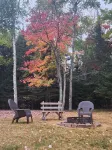 Lakefront Cabin on Snowmobile/UTV Trails