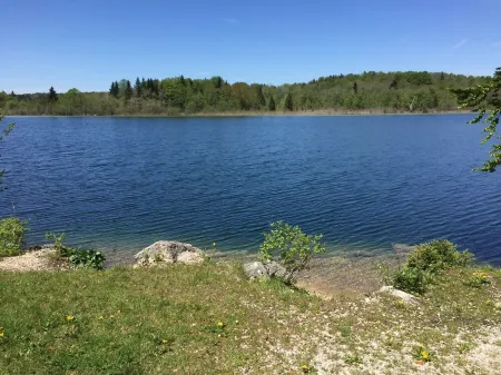 Cottages in the center of the Hedgehog waterfalls and lakes. Отели в г. Бонльё