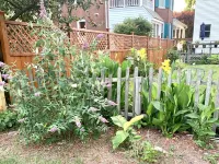 Belle is a cute cottage blocks from shops, bay, cafes 北安普敦縣酒店