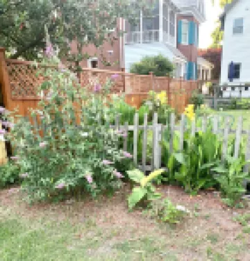 Belle is a cute cottage blocks from shops, bay, cafes