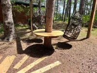 Cozy cabin in the heart of Hayward! Hotels in Hayward