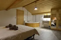 Large apartment for 14 people in Chatel centre - Chatel Reservation