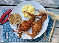 Historic Cottage on Ware River Estate Hotels in Gloucester County