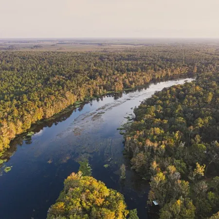 Relax on a Beautiful River in a Natural Florida Setting