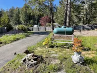 Peaceful Retreat with Ocean Views, Tall Pine Trees, and Beautiful Garden