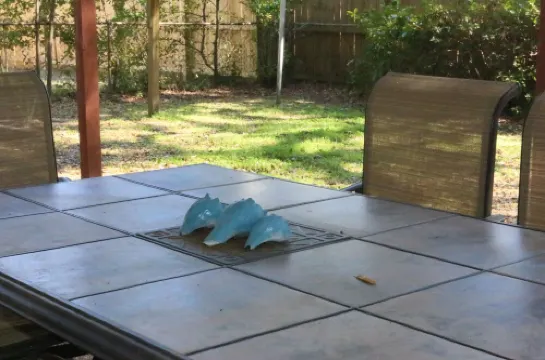 Enjoy Charlestons History & Carolina Sun -  3BR 2 BATH Old Mt. Pleasant