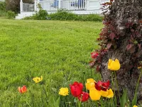 In-town 5 Bedroom Victorian With Heated Pool Hotels in Lubec