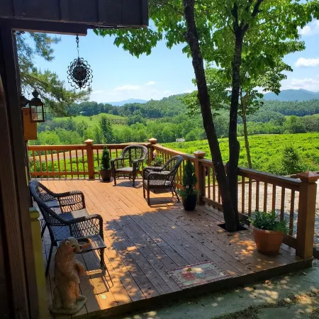 Mountain view cabin, fully remodeled, huge screen in porch with panoramic view.