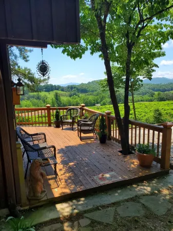 Mountain view cabin, fully remodeled, huge screen in porch with panoramic view.