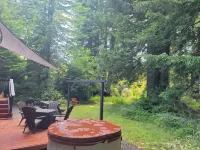 In the heart of the Redwood Forest