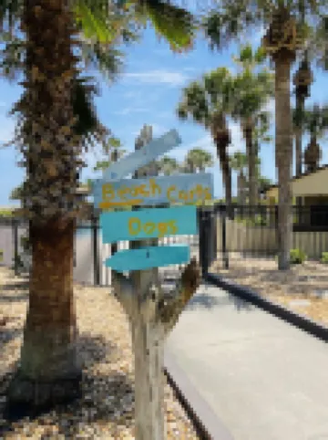 The Turtle Nest - Oceanfront, 2 BR/2 BA