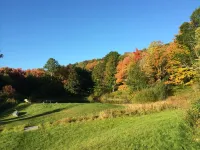 Secluded Hillside Property with Valley Views and Fishing Pond - Chalets