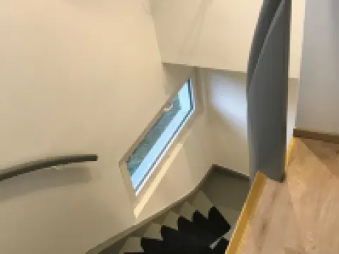 Forest view in the Lerbachtal / Harz Hotels in Osterode am Harz