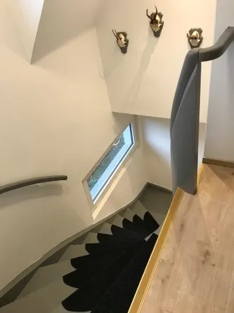 Forest view in the Lerbachtal / Harz