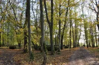 Cottage 10 people in a park with swimming pool Hotels in Argilly