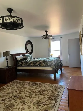 Pet friendly home, pond, paddle boat, fishing gear, hiking, wineries, game room