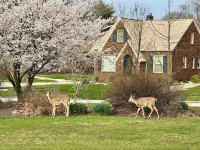 Park view ⁞ Porch swing ⁞ Game room ⁞ 2BA ⁞ Manchester Manor: an elegant escape Hotels near Pleasant Valley Shopping Center