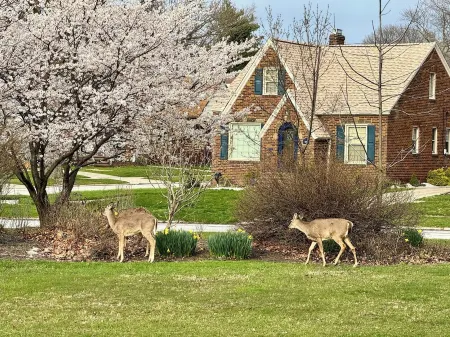 Park View ⁞ Porch Swing ⁞ Game Room ⁞ 2BA ⁞ Manchester Manor