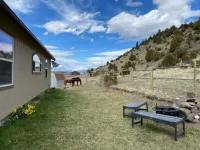 Yellowstone Valley Buffalo Jump Hotels near Chico Hot Springs