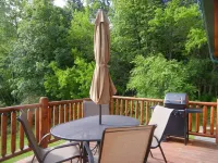 Cozy Vacation Getaway and Hunter's Paradise