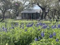 Byrd + Branch "Guest Favorite" King Cabin Near Downtown & Wine Trail, sleeps 3 Hotel dekat Grape Creek Vineyards