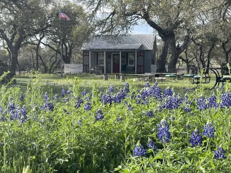 Byrd + Branch "Guest Favorite" King Cabin Near Downtown & Wine Trail, sleeps 3 Отели рядом с достопримечательностью «Национальный исторический парк имени Линдона Б. Джонсона»