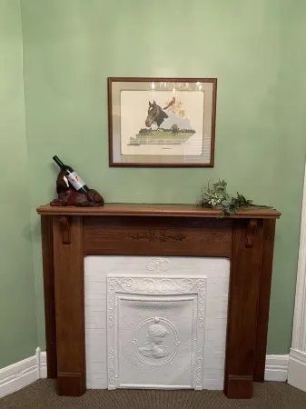 Historic Downtown Morgan Street Apartment - Pet Friendly!