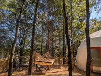 Offgrid Glamping At Private Lake Hotels in McCormick County