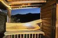 Turkey Trot- New Cabin in Black Mountain w/ views & discount Biltmore tickets!