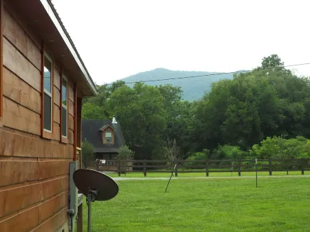 Brand New "Mountain Life" No Contact check in