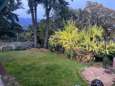 Tracktown & Duck Fans Enjoy! Sleeps 6, Spacious 1600sq ft + Private Yard! Отели рядом с достопримечательностью «Jordan Schnitzer Museum of Art»