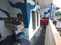 DZ Backpackers